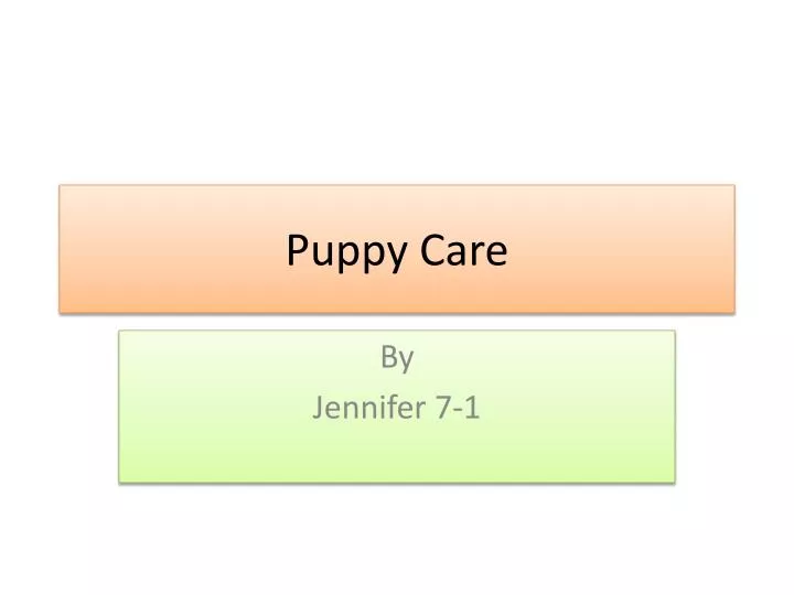 puppy care