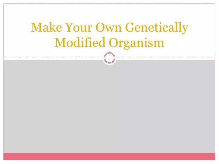 make your own genetically modified organism