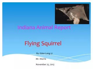 Indiana Animal Report