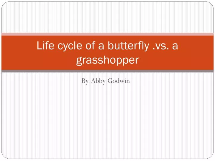 life cycle of a butterfly vs a grasshopper