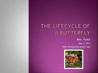 The Lifecycle of a butterfly