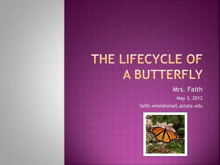 PPT - The Lifecycle of a butterfly PowerPoint Presentation, free ...