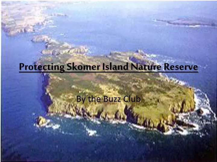 protecting skomer island nature r eserve
