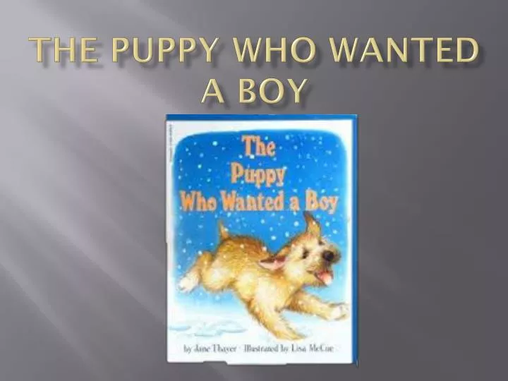 the puppy who wanted a boy
