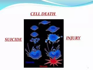 CELL DEATH
