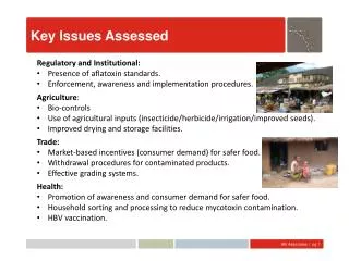 Key Issues Assessed