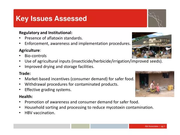 key issues assessed