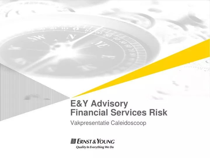 e y advisory financial services risk