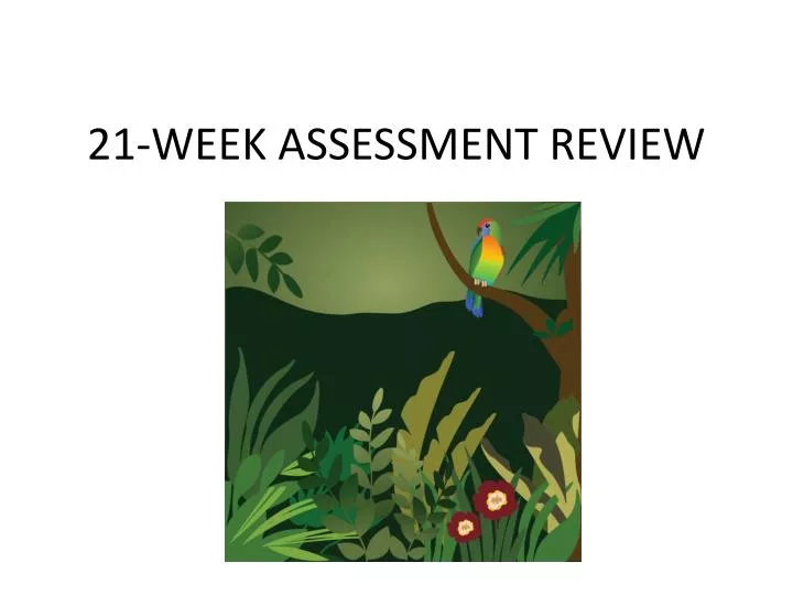 21 week assessment review