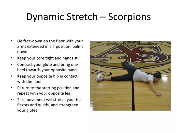 dynamic stretch scorpions
