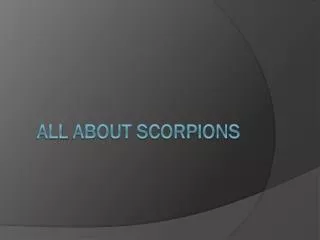 All A bout Scorpions