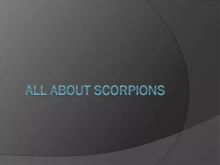 all a bout scorpions