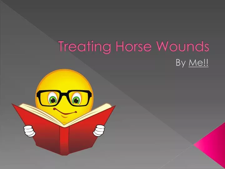 treating horse wounds