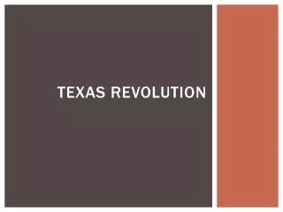 texas revolution