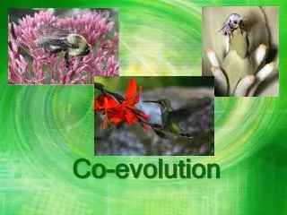 Co-evolution