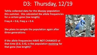 D3: Thursday, 12/19