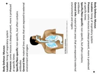 Body Defense: Mucous Location: lining of respiratory system