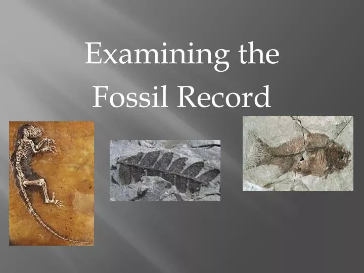examining the fossil record
