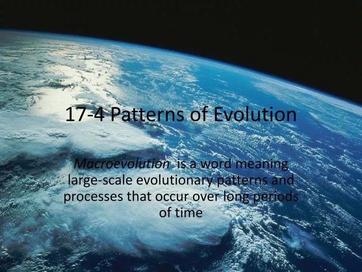 17 4 patterns of evolution