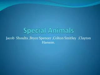 Special Animals