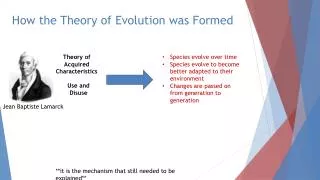 How the Theory of Evolution was Formed