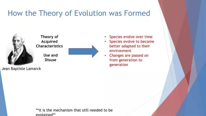how the theory of evolution was formed