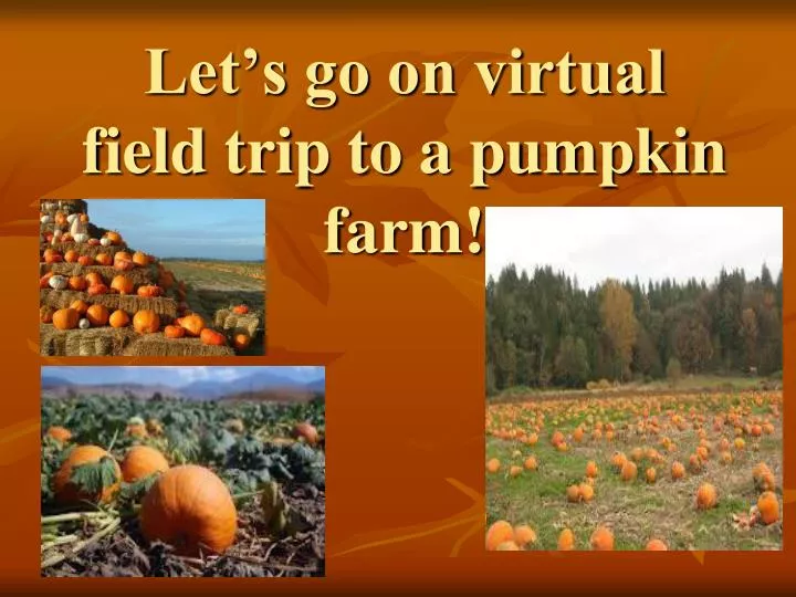 let s go on virtual field trip to a pumpkin farm