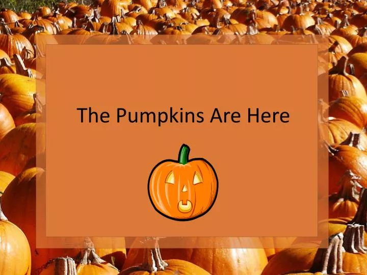 the pumpkins are here