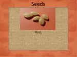 The Lifecycle of a Pumpkin: From Seed to Harvest - slide 1