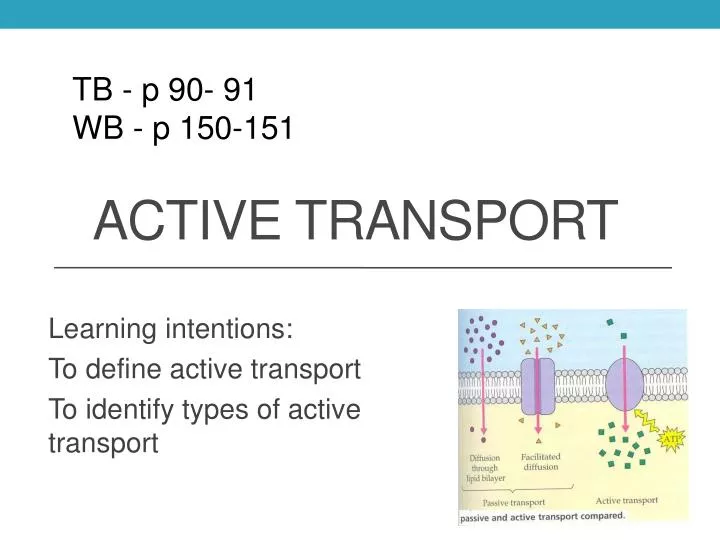 active transport