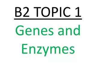 B2 TOPIC 1 Genes and Enzymes