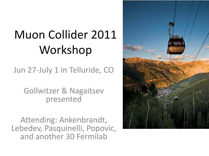 muon collider 2011 workshop