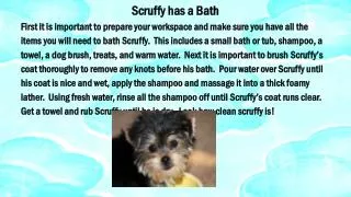 Scruffy has a Bath