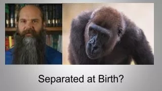 Separated at Birth?