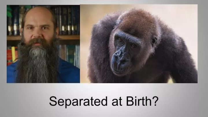 separated at birth