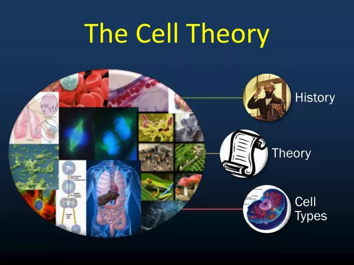 the cell theory