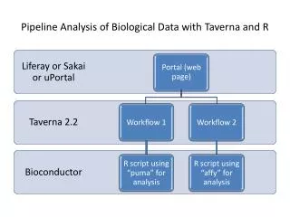 Pipeline Analysis of Biological Data with Taverna and R