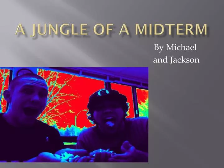 a jungle of a midterm