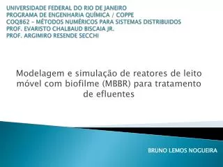 Modelagem e simulação de reatores de leito móvel com biofilme (MBBR) para tratamento de efluentes