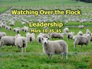 watching over the flock