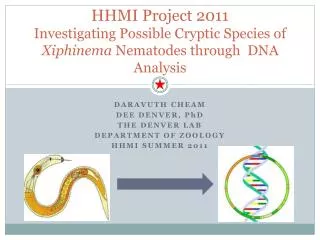 Daravuth Cheam Dee Denver, P h D The Denver lab Department of Zoology HHMI Summer 2011