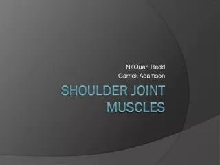 Shoulder Joint Muscles