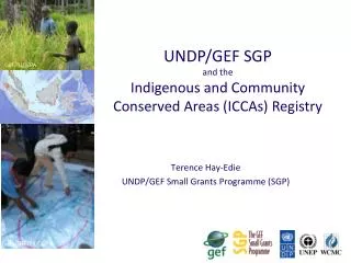 Terence Hay-Edie UNDP/GEF Small Grants Programme (SGP)