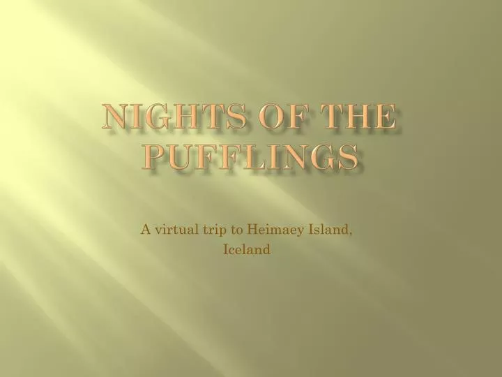 nights of the pufflings