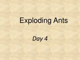 Exploding Ants