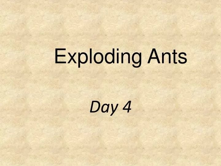 exploding ants