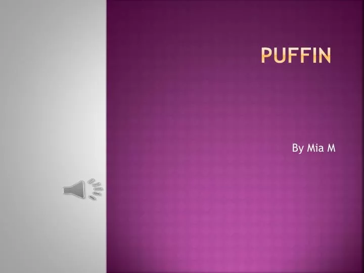 puffin