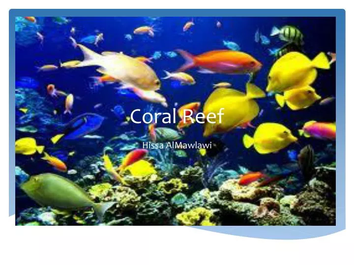 co ral reef