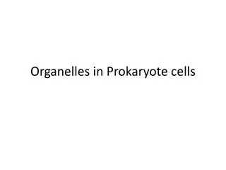 Organelles in Prokaryote cells