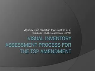 Visual Inventory Assessment Process for the TSP Amendment